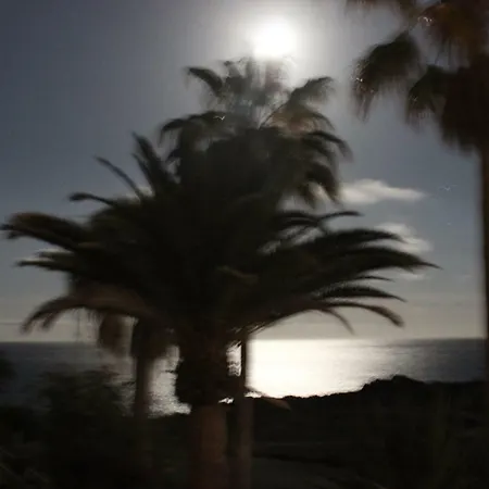 Ocean Holiday Montana Amarilla 코스타델실렌시오