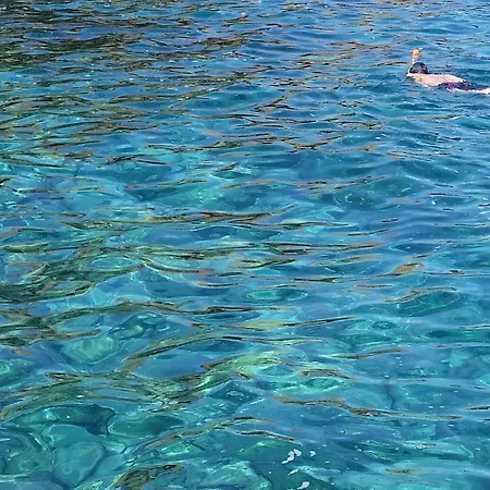 아파트 Ocean Holiday Montana Amarilla *