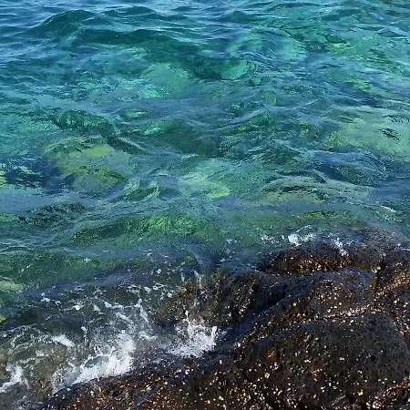 Ocean Holiday Montana Amarilla *